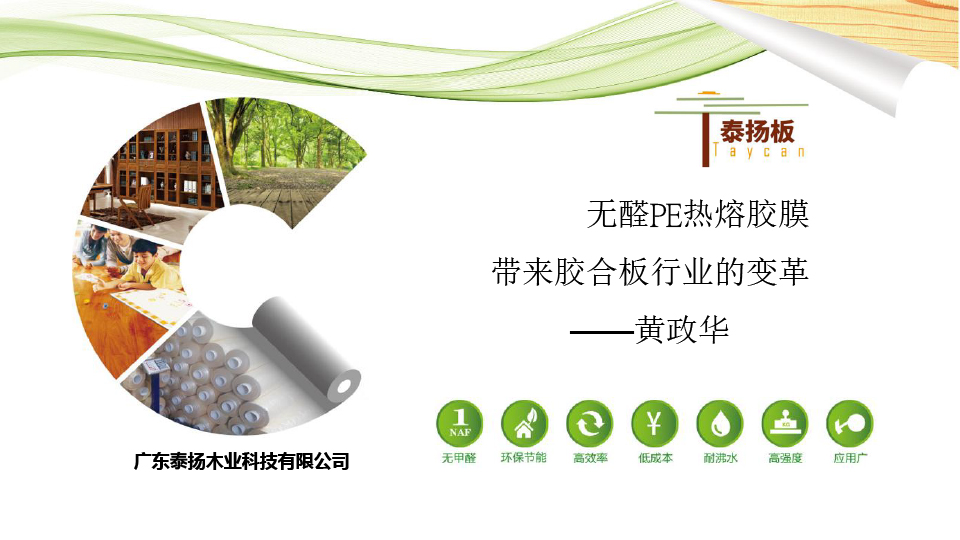 無醛熱熔膠膜板-泰揚(yáng)-1.jpg