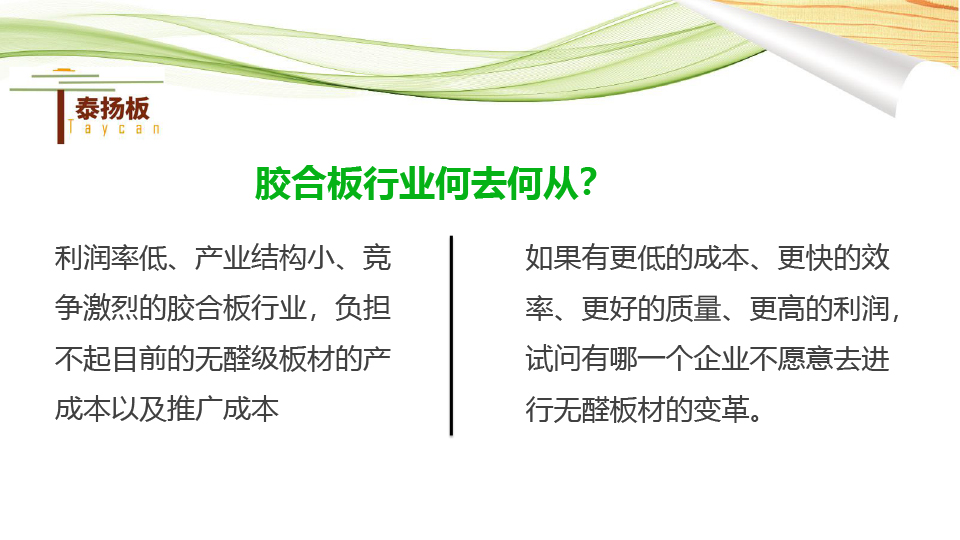 無醛熱熔膠膜板-泰揚(yáng)-5.jpg