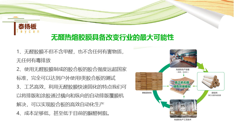 無醛熱熔膠膜板-泰揚(yáng)-6.jpg