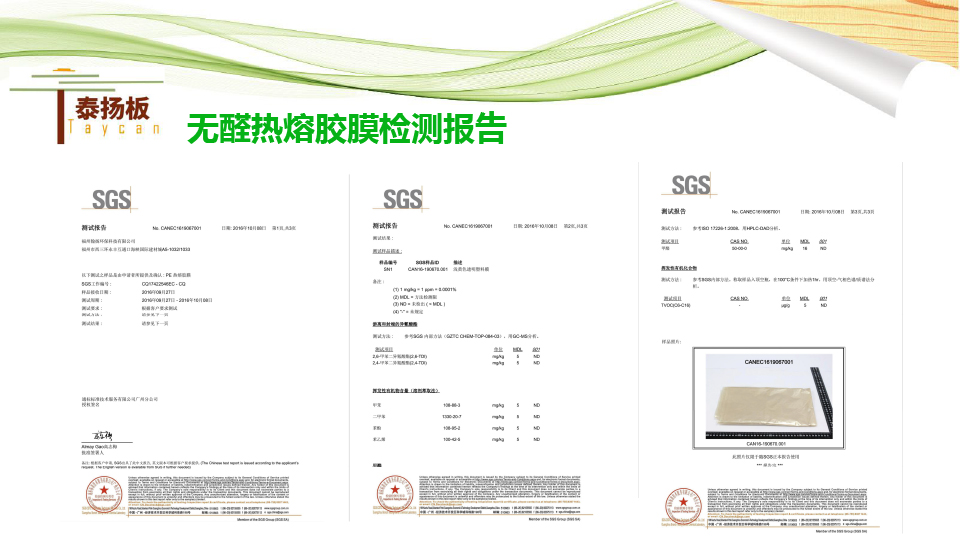 無醛熱熔膠膜板-泰揚(yáng)-12.jpg