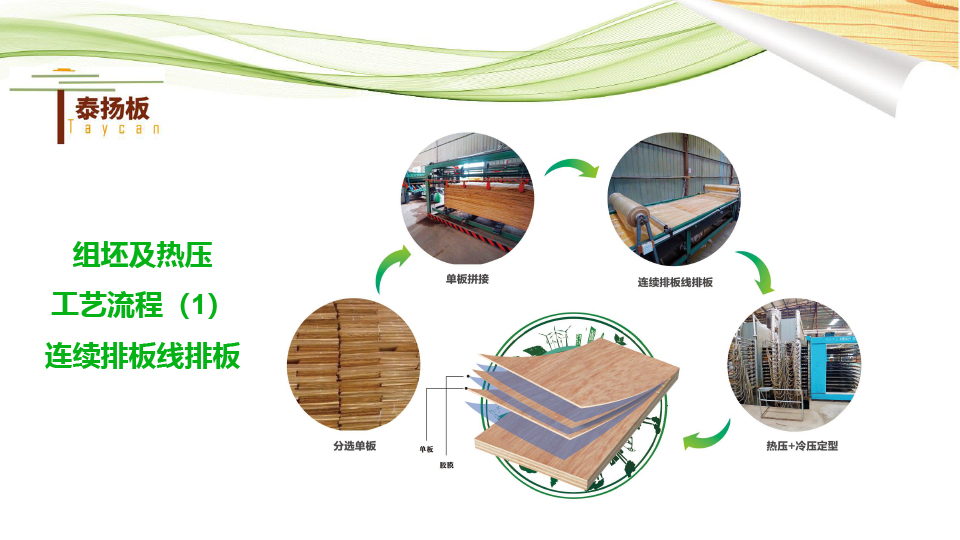 無醛熱熔膠膜板-泰揚(yáng)-14.jpg