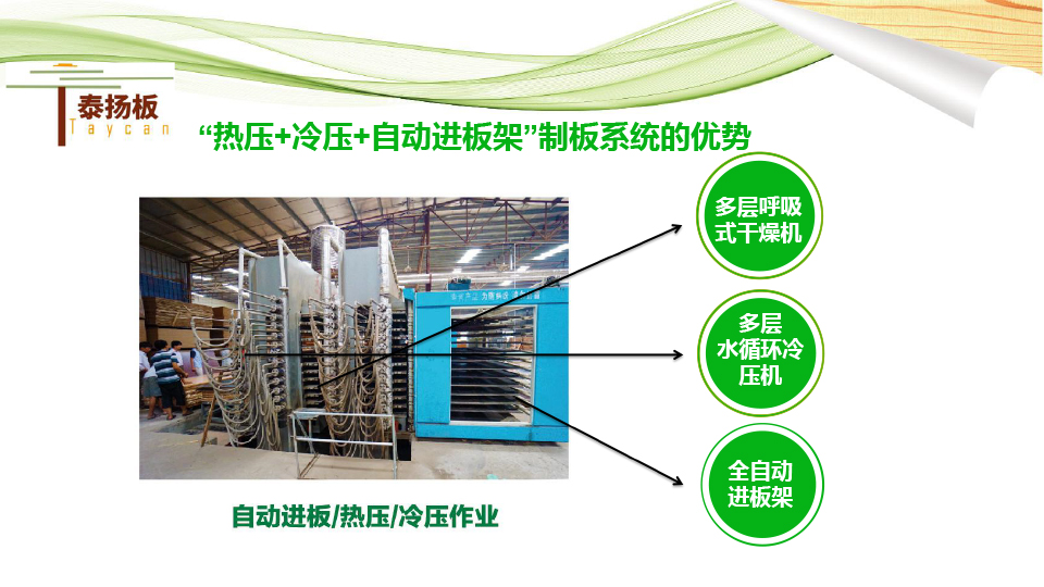 無醛熱熔膠膜板-泰揚(yáng)-17.jpg
