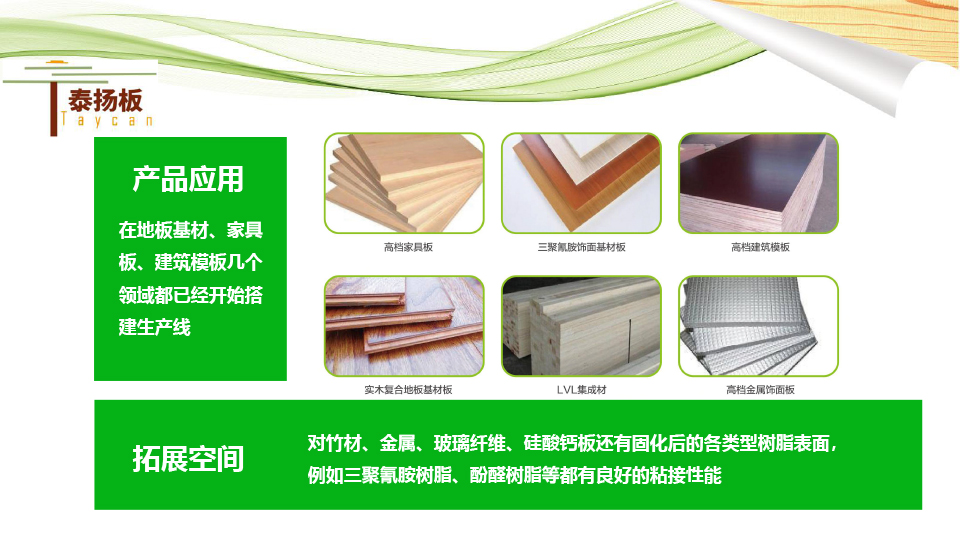 無醛熱熔膠膜板-泰揚(yáng)-18.jpg