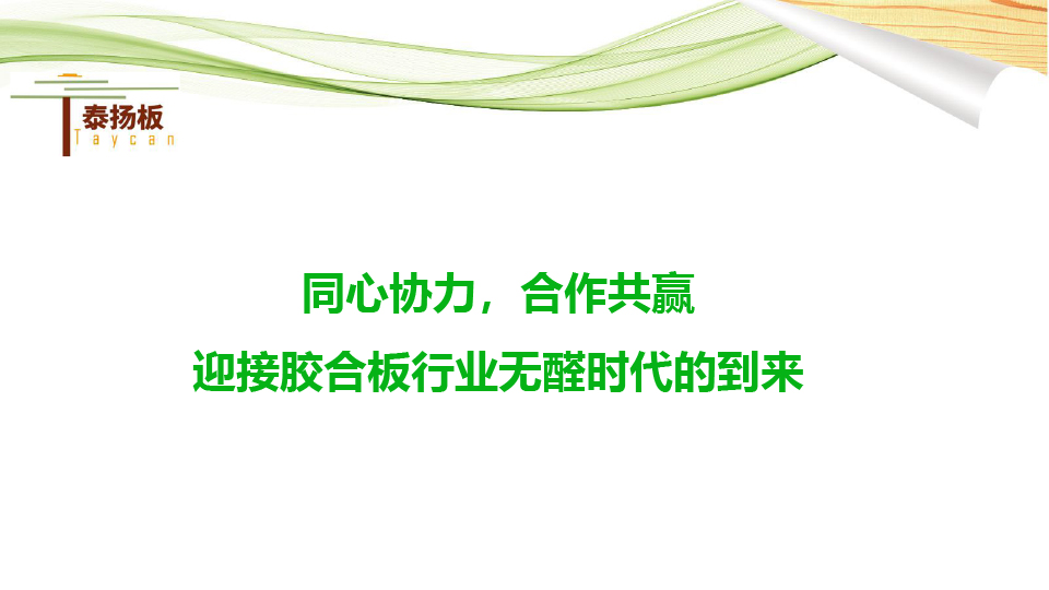 無醛熱熔膠膜板-泰揚(yáng)-19.jpg